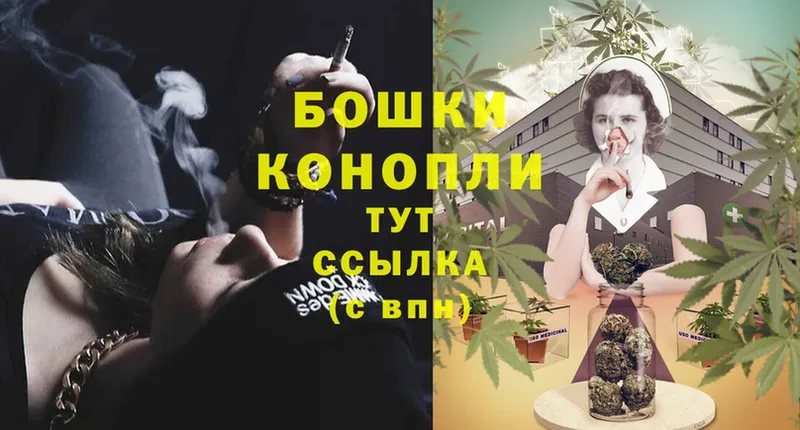 Бошки Шишки SATIVA & INDICA  Шагонар 